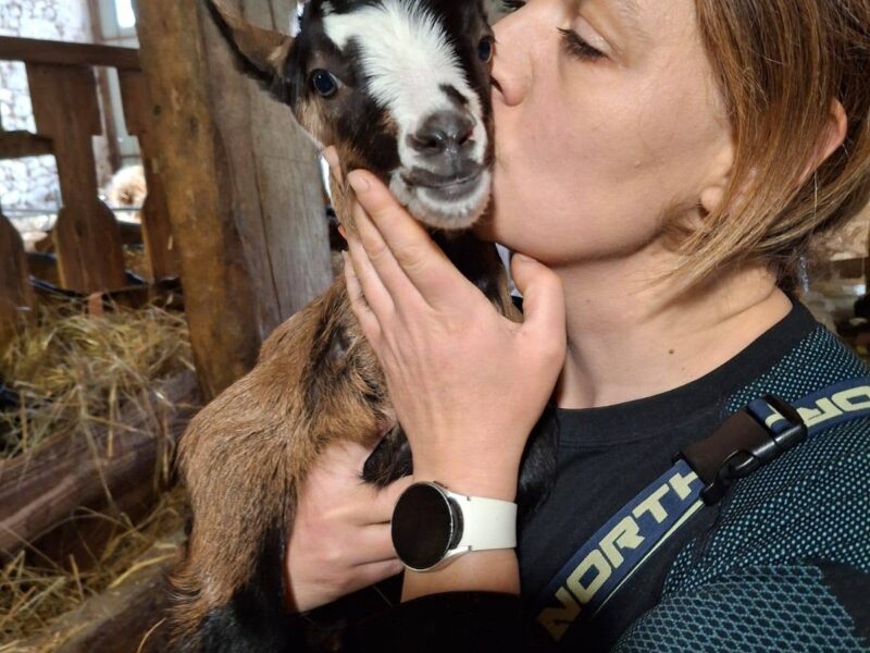 Mon Cabri O Lait